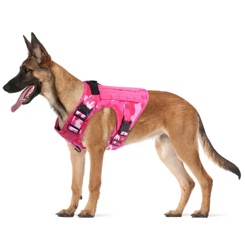 Pettorina per cani mimetica rosa militare per pettorine per cani di taglia media Guinzaglio regolabile Gilet da addestramento tattico per pastore tedesco