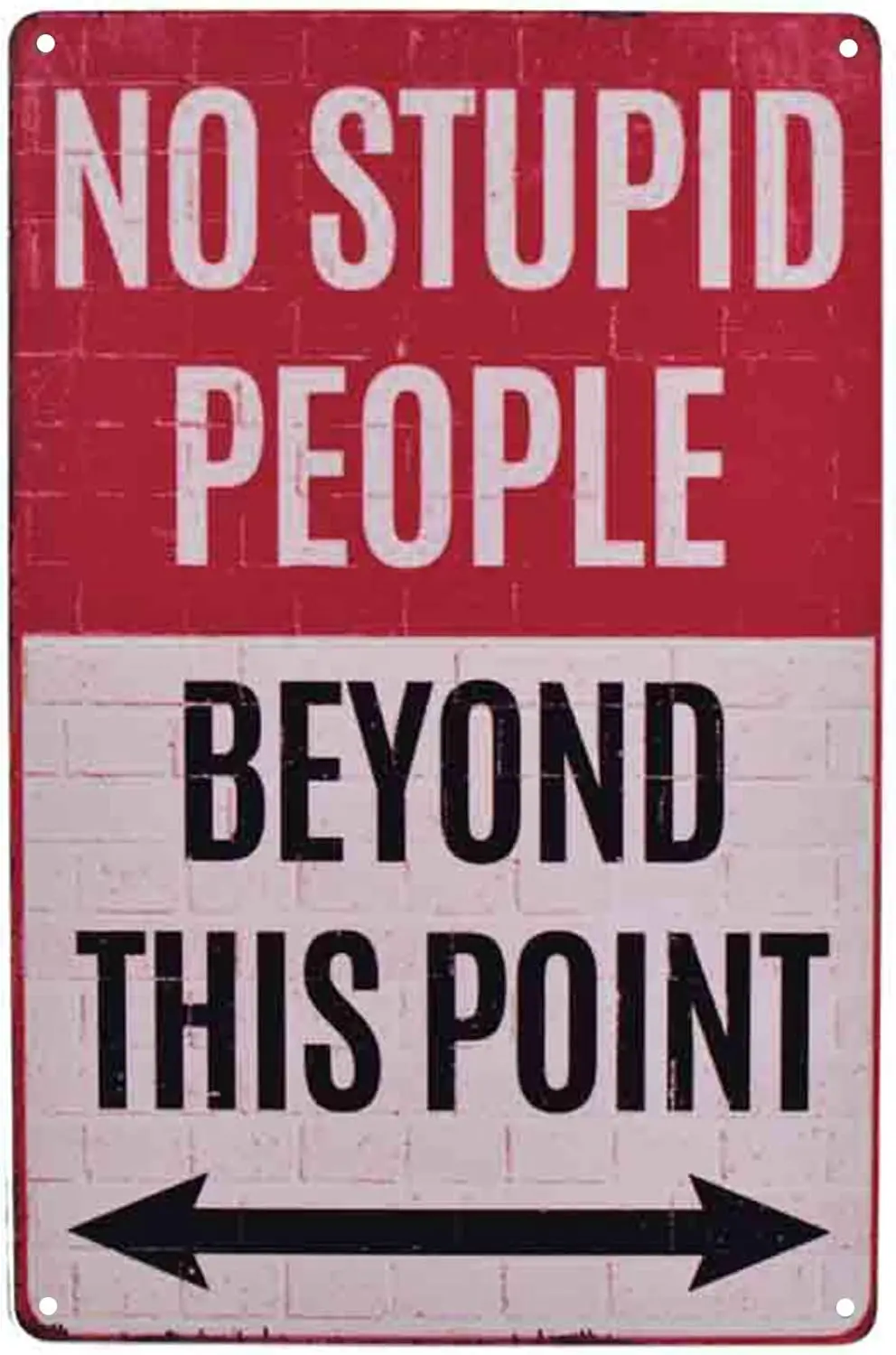 Warning No Stupid People Beyond This Point Rustic Metal Tin Sign Wall Decor Art Vintage Metal Sign Garage Signs for Men Home De