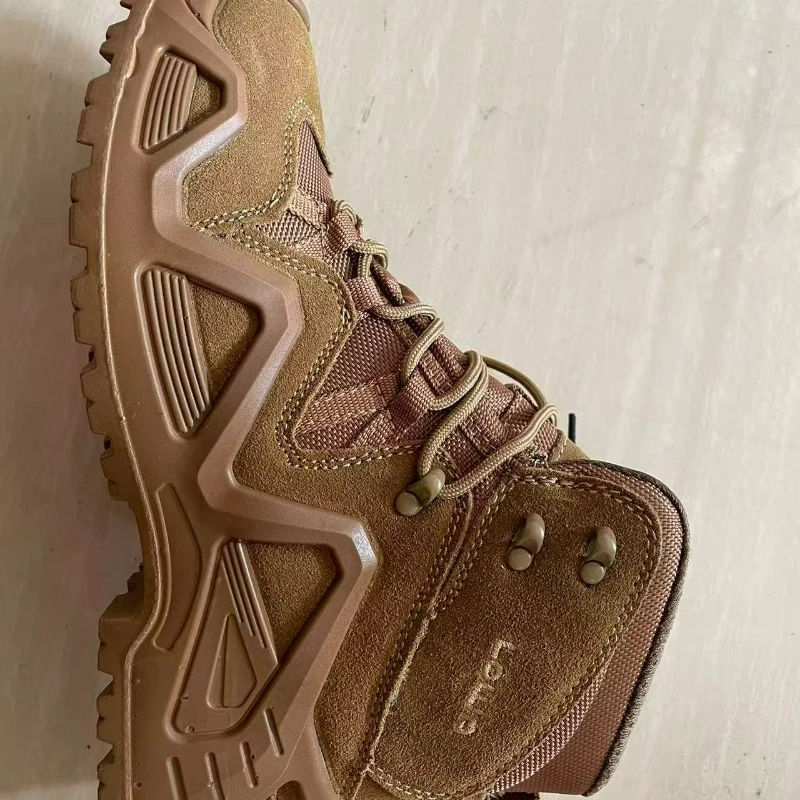 2026 Classic Brand …