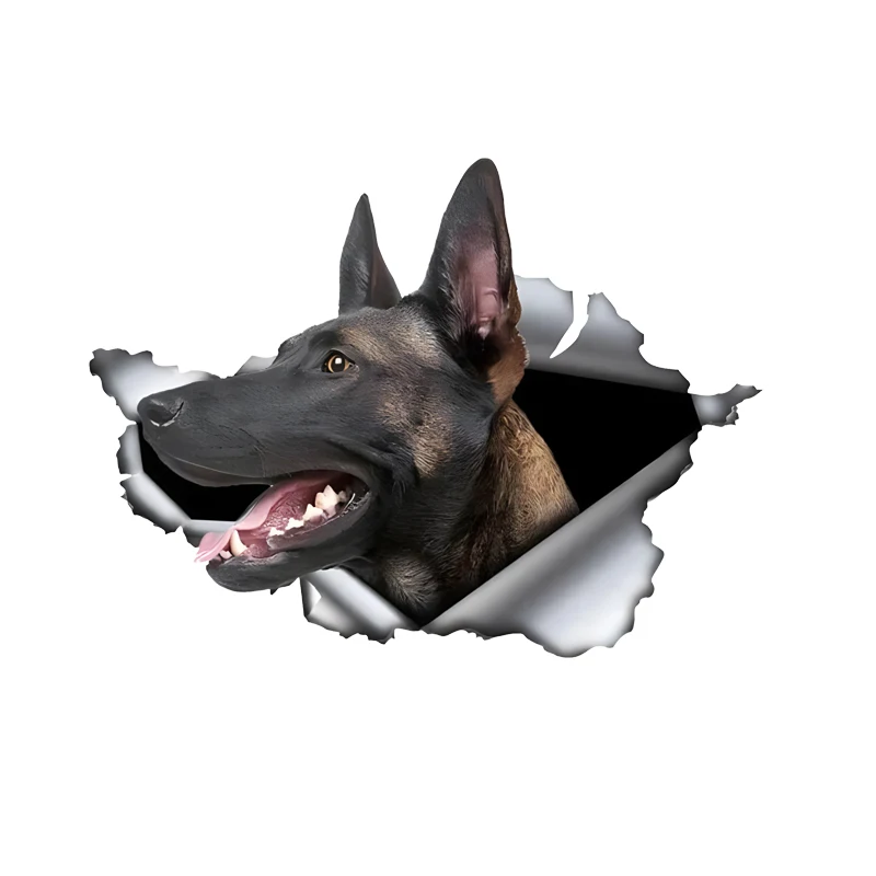 

GS50#8*6 inches Malinois Breaking Through Stickers Car Decals, Weather-Resistant Vinyl Stickers for Windows, Bumper, Laptop