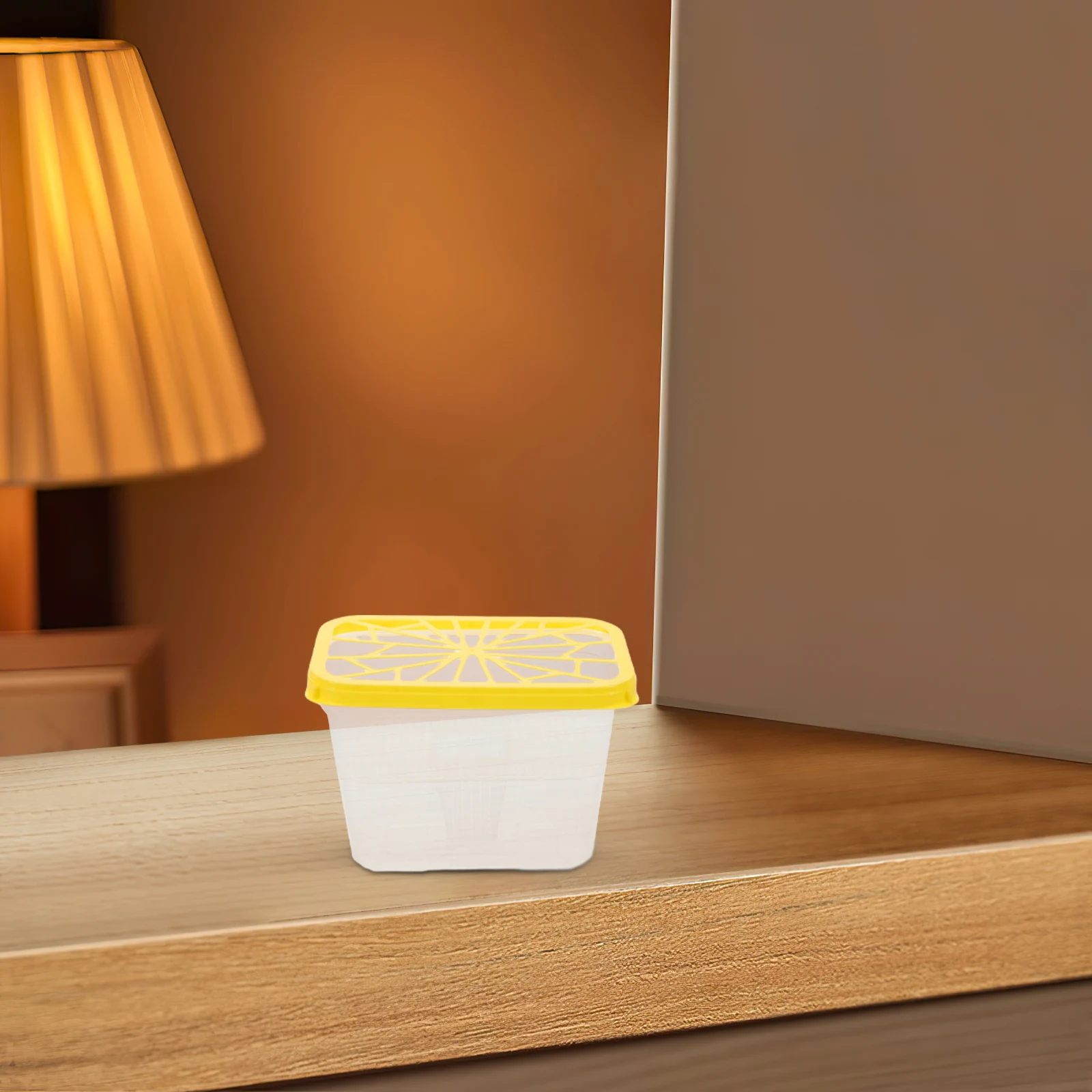 

4 Pcs Dehumidification Box Moisture Absorber Case Water Holder for Collector Plastic Empty