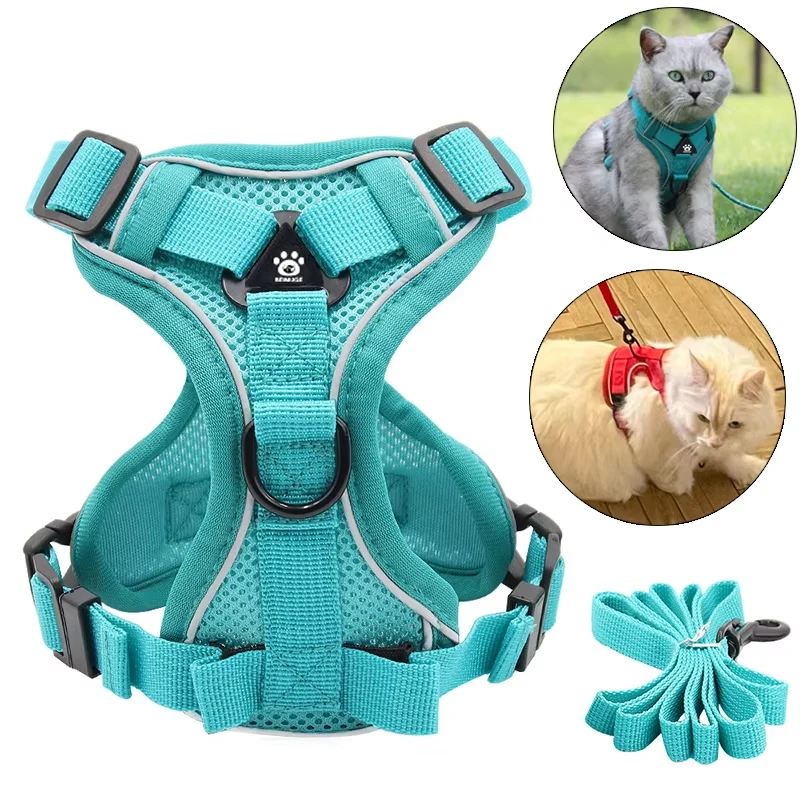 #78 Trending Dog Harnesses Right Now