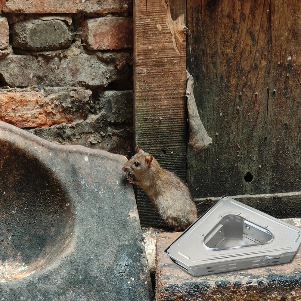

1 шт., металлическая треугольная многофункциональная ловушка для мыши с визуальным окном, коробка для мыши, подходит для управления мышью в помещении и на открытом воздухе