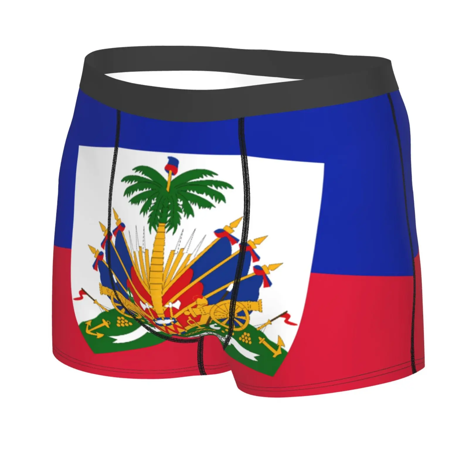 Flag of The Republic of Haiti Pattern Underwear Men Stretch Boxer Briefs Shorts Panties Soft Sexy Underpants for Male