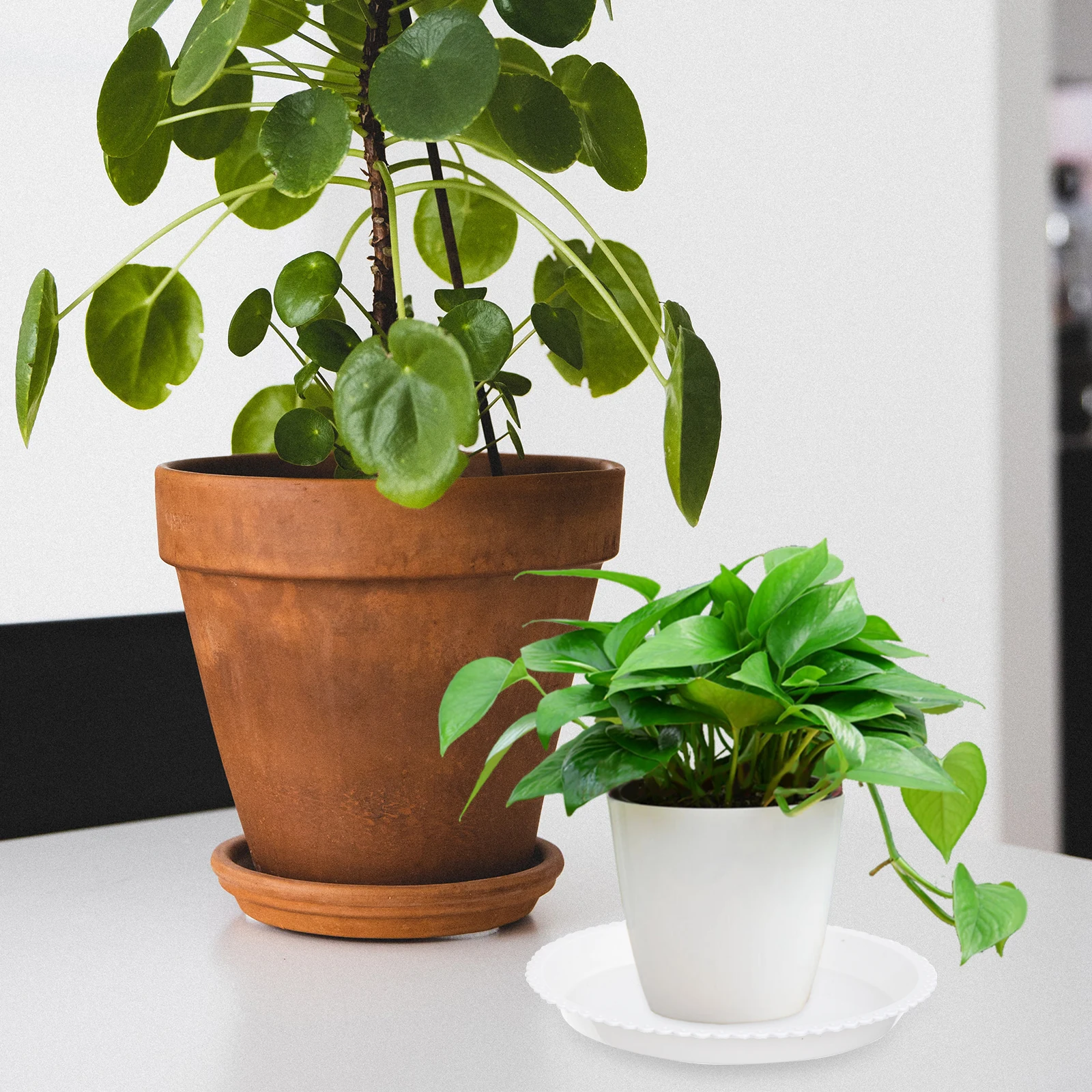 

50pcs Flower Pot Trays Plastic Flowerpot Base Durable Water Tray For Indoor Outdoor Gardening Long Lasting Flowerpot Bottom