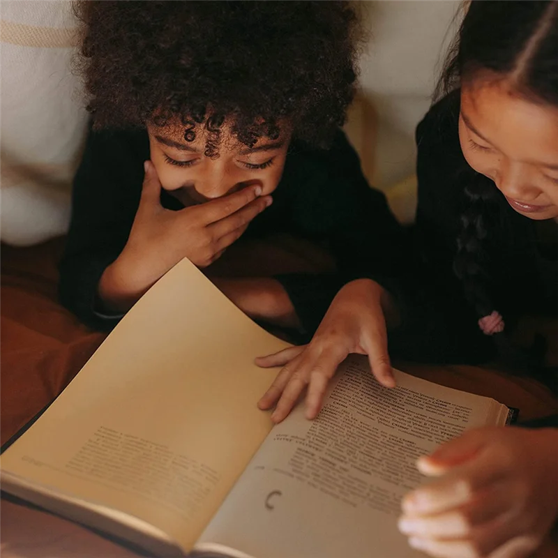 L73A 2025-24Pcs Colored Overlays For Dyslexia, Dyslexia Reading Strips For Dyslexia Irlens, ADHD And Visual Stress, 11.7X8.3Inch