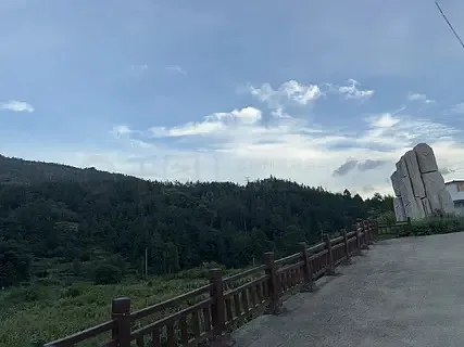 

SURPASS HOBBY 4.3g High Torque Metal Gear Micro Digital Servo for RC Airplane Fixed Wing Helicopter Car Boat Models