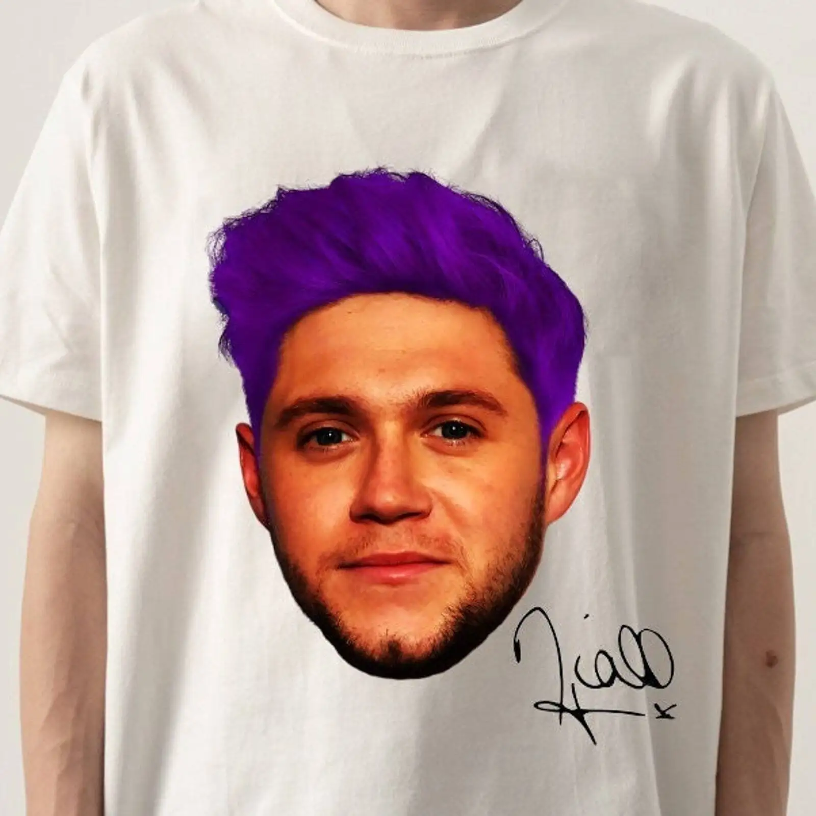 Niall Horan T Shirt 90S Vintage Shirtt