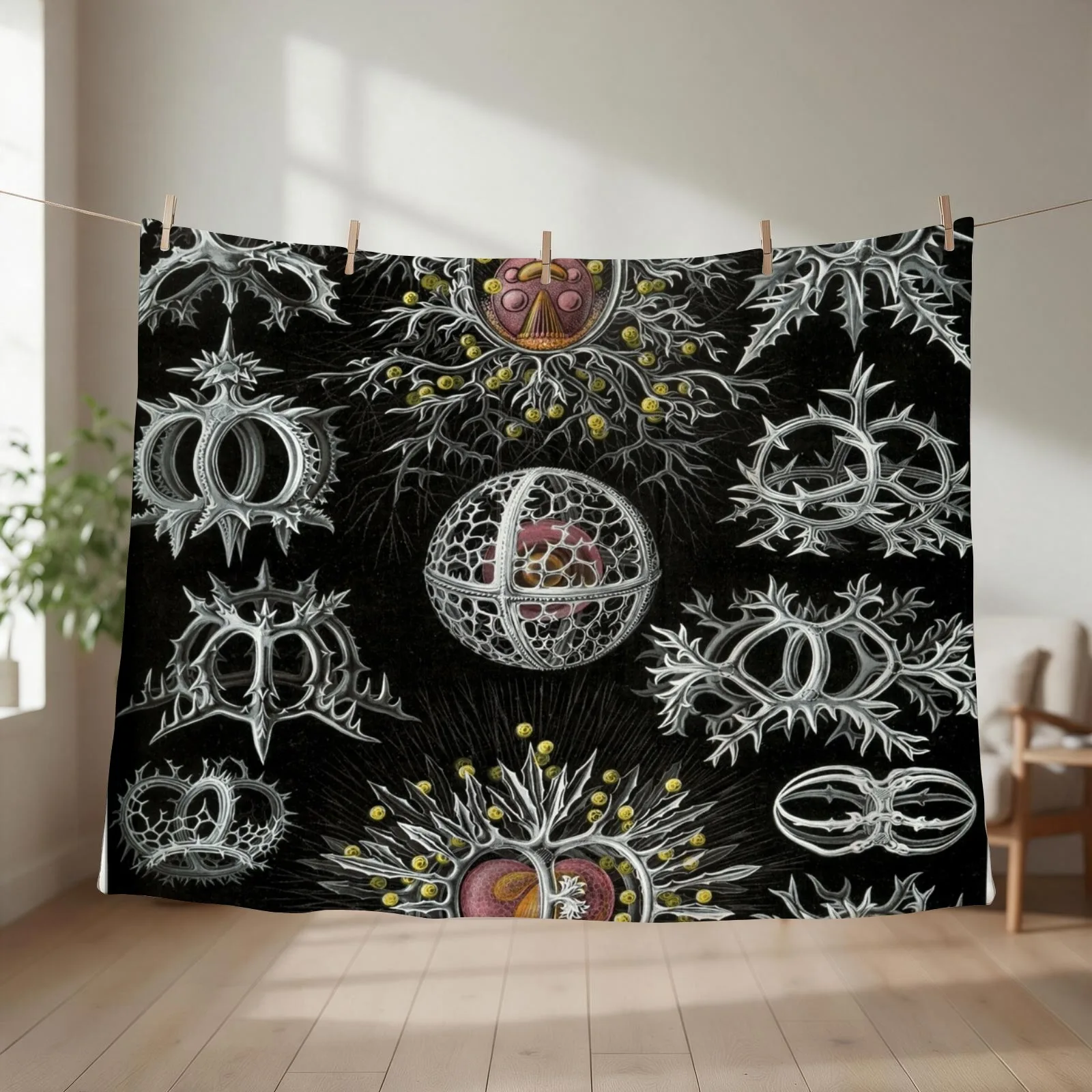 Haeckel Stephoidea Drawings Throw Blanket Thermal cosplay anime Quilt bed plaid Blankets
