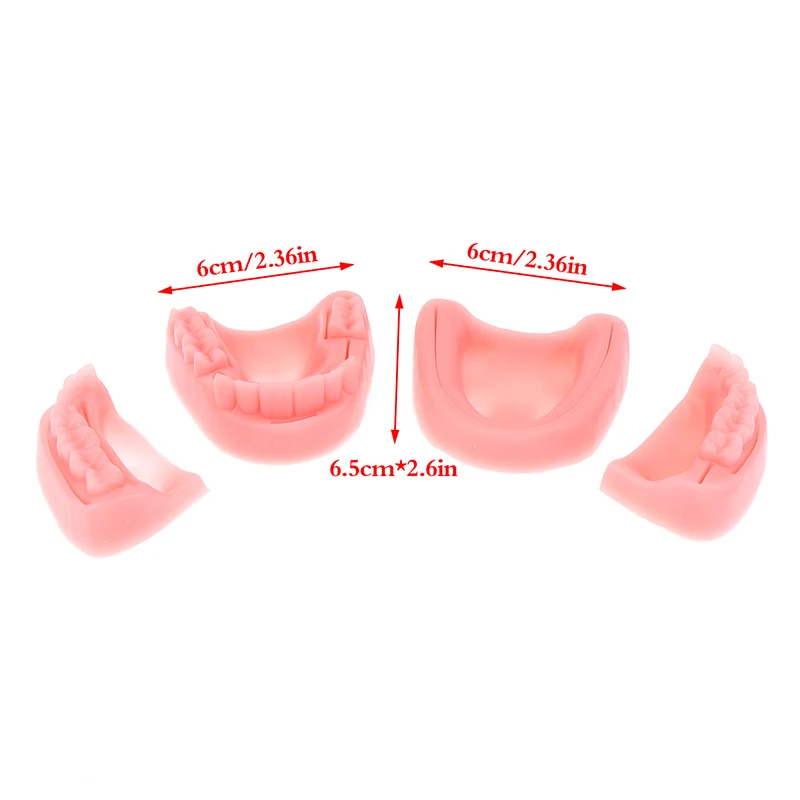 4pcs Dental Oral Suture Model Simulation Training Equipment Gum Suture Practice Model for Medical Lab Student Education Sessions