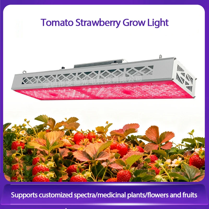 ضوء نباتي LED بعدسة 600 وات/300 وات، ضوء ملء الطماطم والفراولة