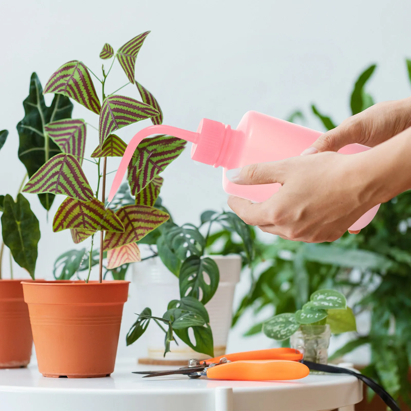 

Набор из 4 пластиковых бутылочек с узким горлышком и изогнутым носиком для мытья ресниц, портативные многофункциональные бутылки для очистки и полива