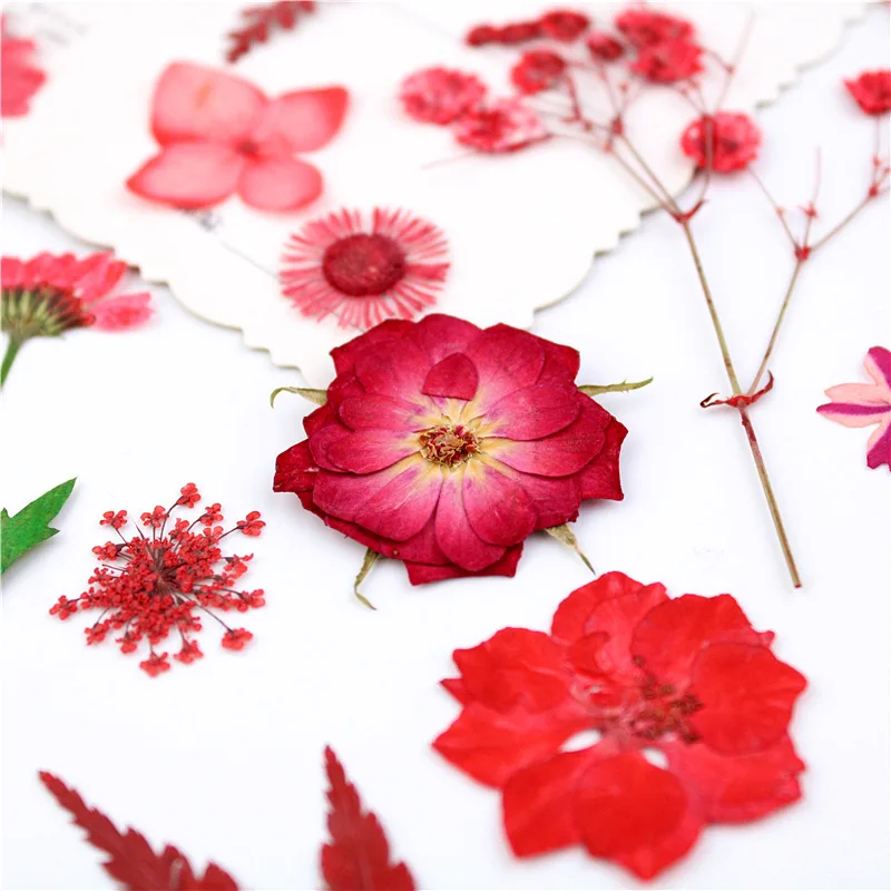 Red flower field, dried flower combination package, embossed material package, diy bookmark, glue drop cell phone shell plant