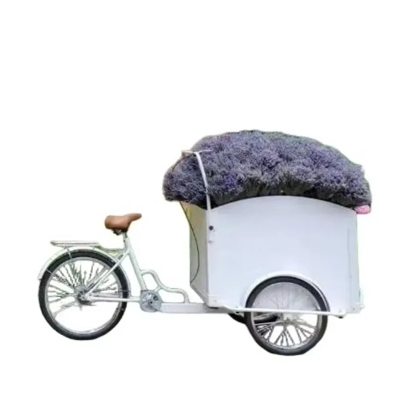 Factory Direct Supply Outdoor Mobile Display Promotional Vehicle Ironwork Mobile Flower Car Customized
