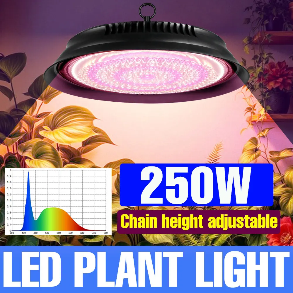 LED الطيف الكامل نمو النبات ضوء داخلي الدفيئة خيمة الطماطم زراعة الخضروات مصباح AC100-277V 50 واط 100 واط 150 واط 200 واط 250 واط