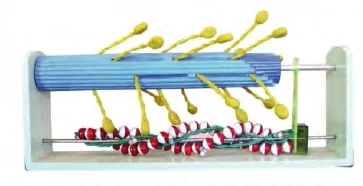 

Molecular Structure and Contraction Change Model of Skeletal Muscle Medical Science Simulator High Quality Educational Aids Teac