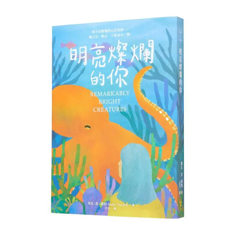 

Bright And Brilliant You Xuebi Fan Pett Loneliness 9786269754182 Book