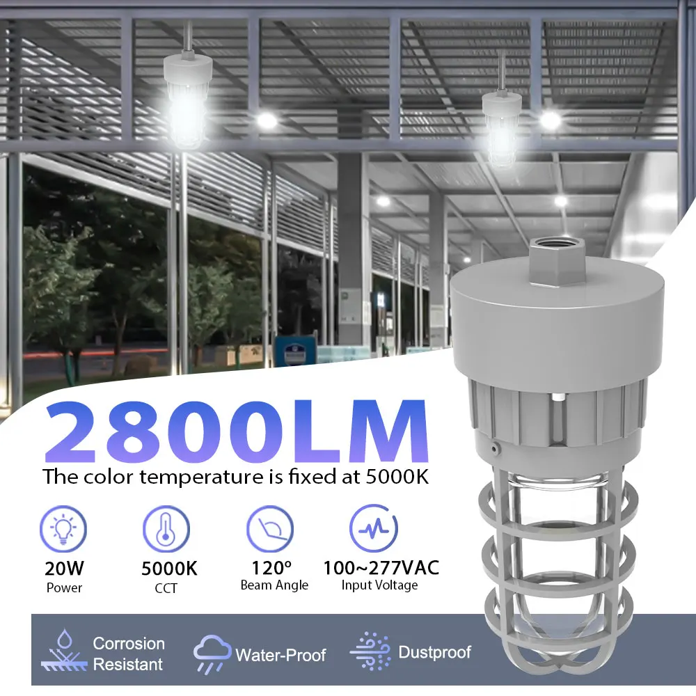 Pendant Mount IP66 Industrial 30W Luminaire Waterproof Led Lamp Explosion-Proof Lights for Offshore Oil Mining