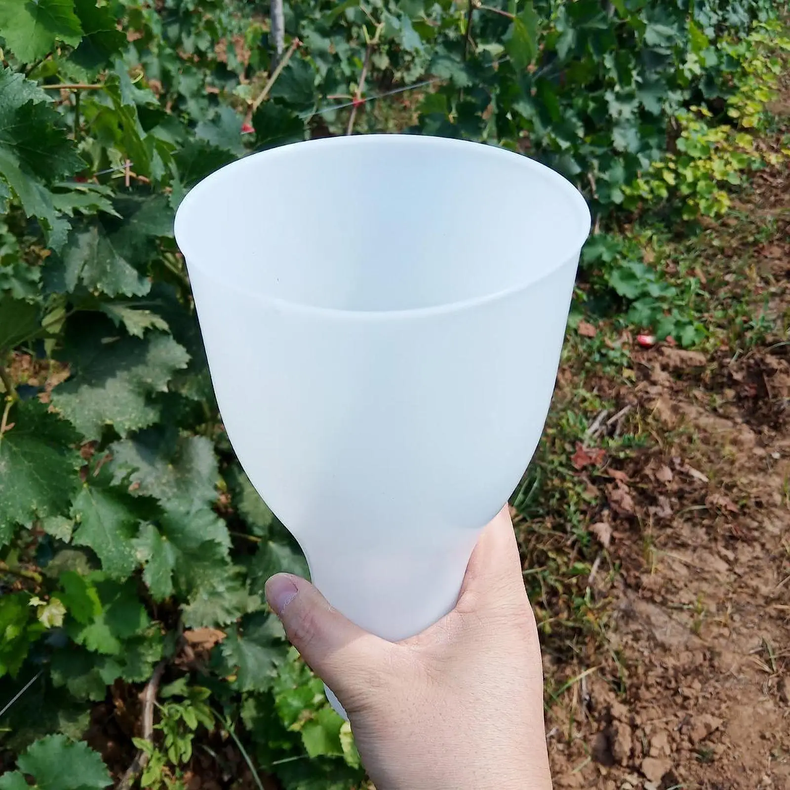 

Grape Dipping Cup Tool for Orchard And Garden Use Fruit Soaking Device