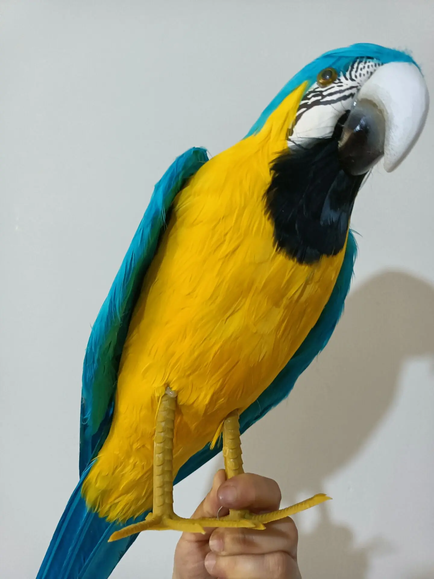 big blue simulation foam and feathers little wings parrot model toy gift about 60cm h2715