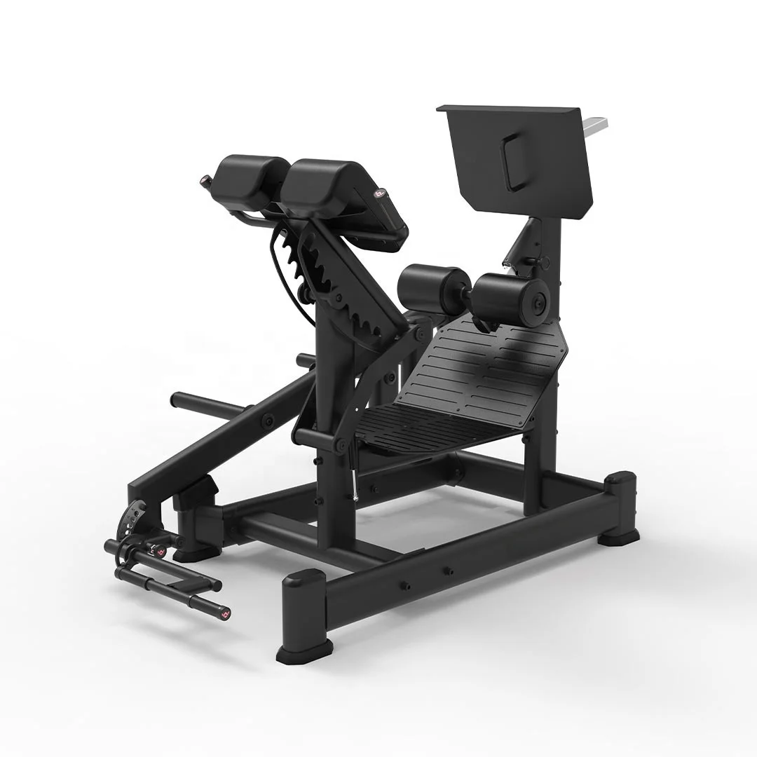 

Latest Fitness Dual 45 Extension for Gym Exercise