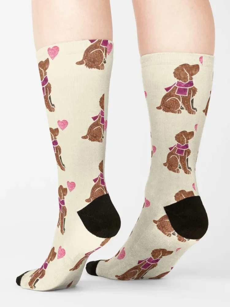 Calcetines de Cocker Spaniel para hombre y mujer, calcetín de trabajo de acuarela, regalo estético de moda