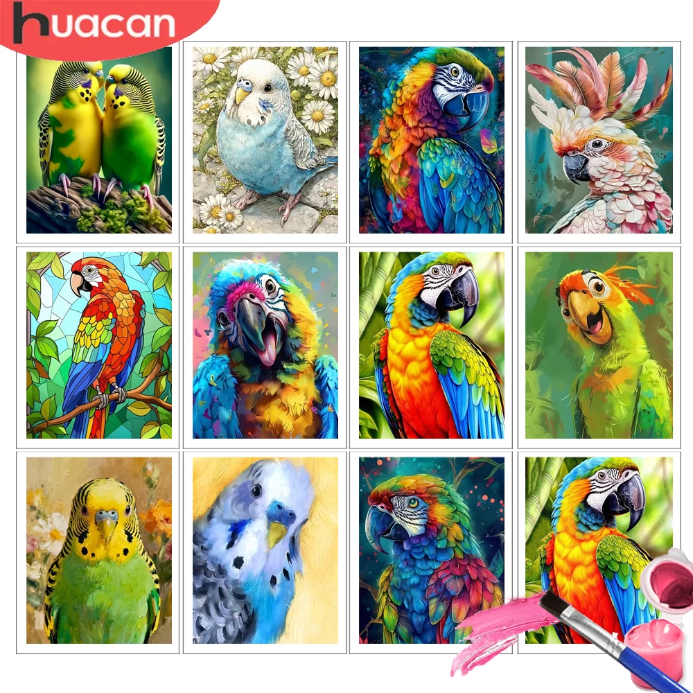 HUACAN Malen nach Zahlen für Erwachsene, Papagei, Tier, bunte Malerei auf Leinwand, Vogel-Kunstset, handgemalte Dekoration für Zuhause