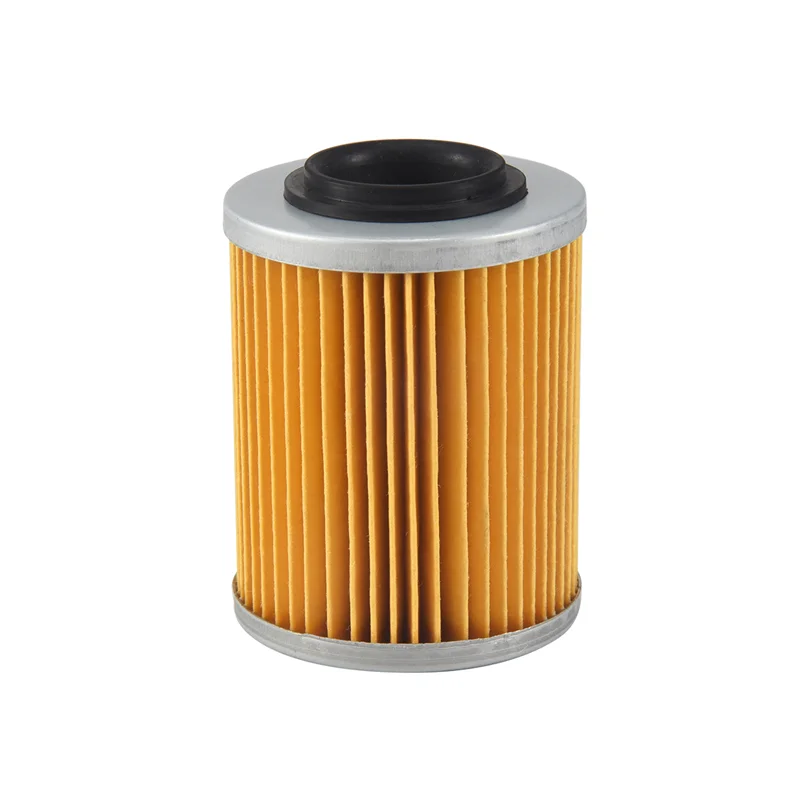 

AEF2-Oil Filter Fit For Odes LZ800 RM800 800 ATV UTV Liangzi SIDE BY SIDE Dominator Raider Assailant ENGINE 21040111601