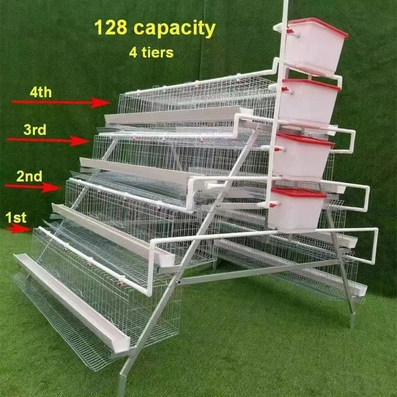 Large space for laying hen breeding cages with large location and large number of breeding