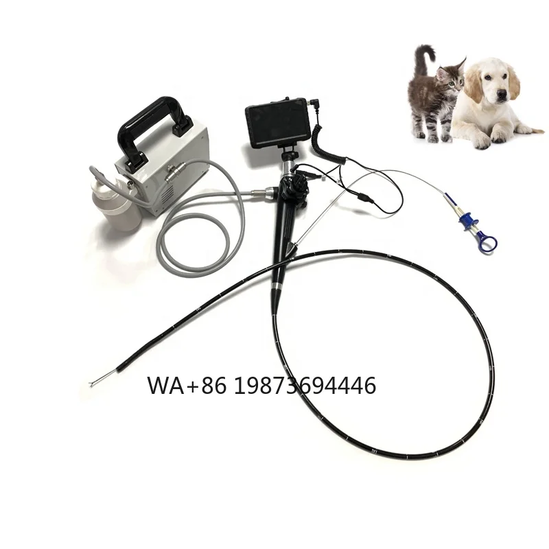 Portable Vet Digital Video ENT Endoscopy Veterinary Flexible Video Endoscope Dog Gastro Endoscope  System With Mini Pump