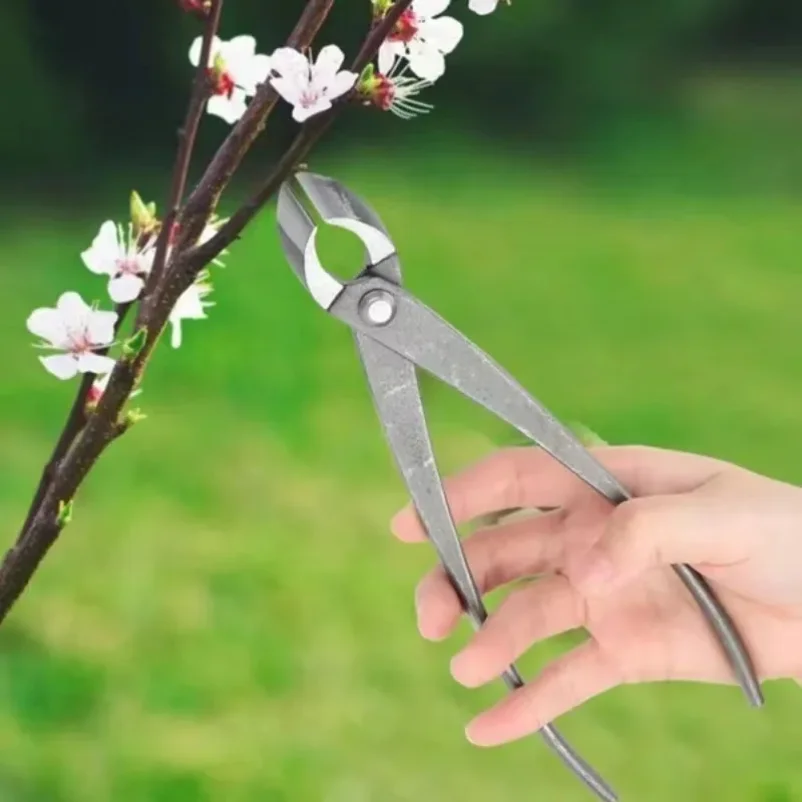 

Garden Tree Branch Cutting Forged Steel Round Head Scissors Bonsai Tools Garden Tree Cutting Bonsai Shaping Tools