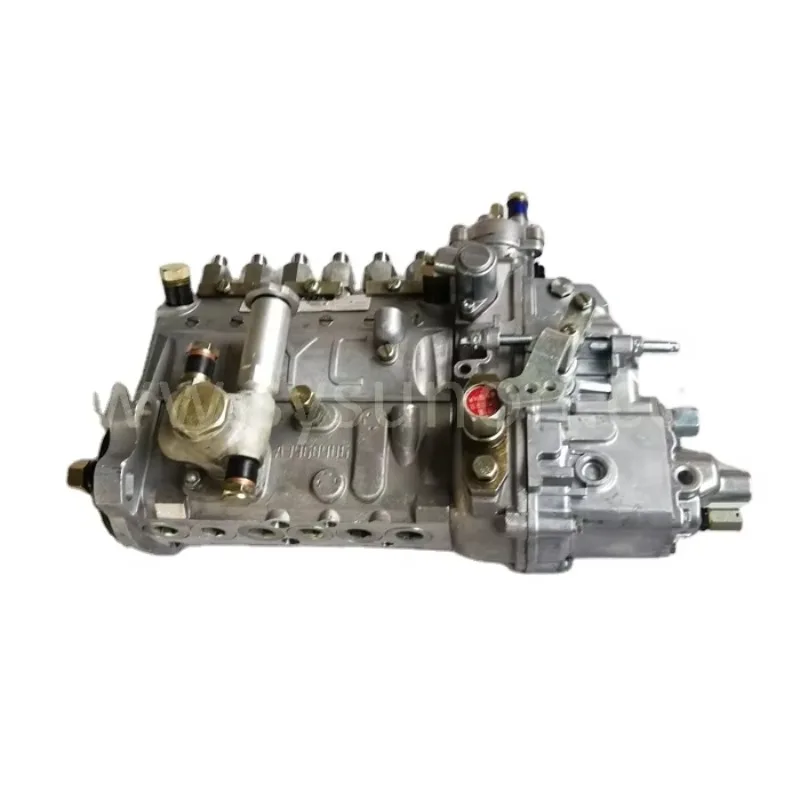 

Heavy Duty Excavator Parts Fuel Pump Diesel Injection Pump 4063844 6738-71-1210 For 6BT5.9
