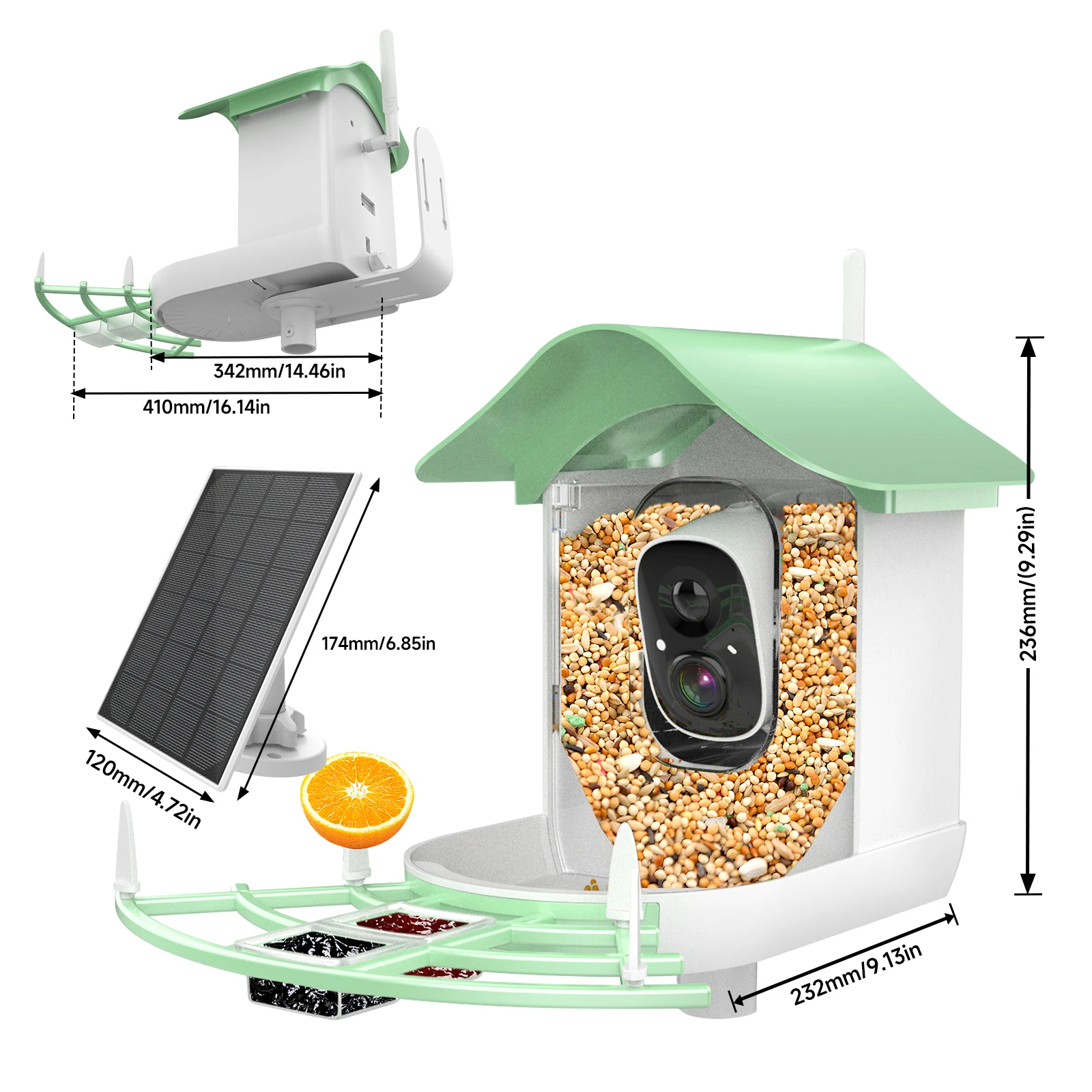 

Solar-powered WIFI Bird Cameras: Artificial Intelligence-driven Bird Species Identification And Seamless Automated Video