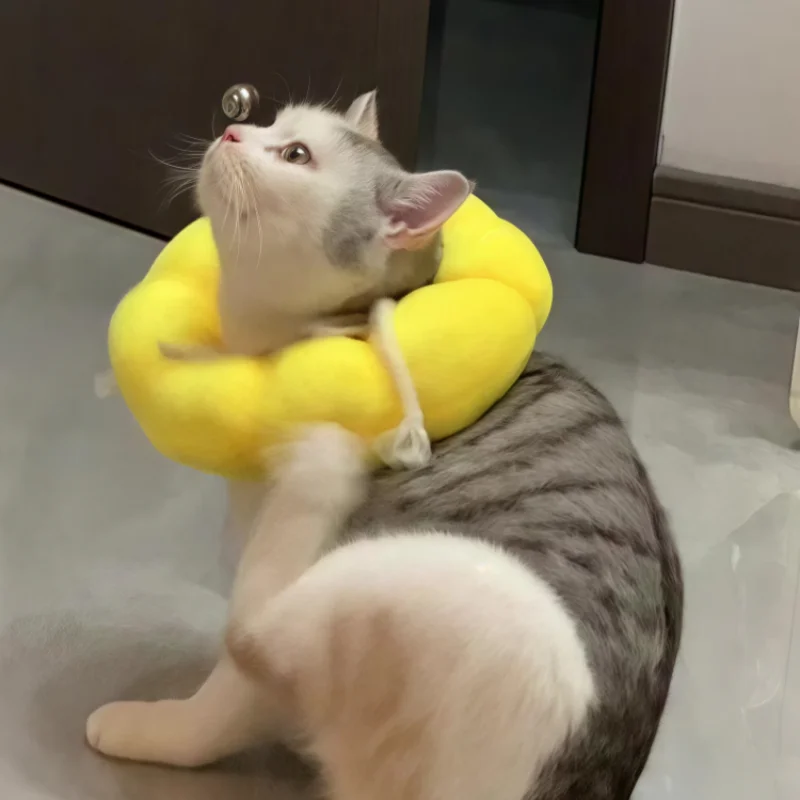 

Елизаветинский ошейник для восстановления для собак и собак Spay Neuter Товары для домашних животных против укуса ли Мягкая гарнитура для собак Ne Circle Товары для домашних животных