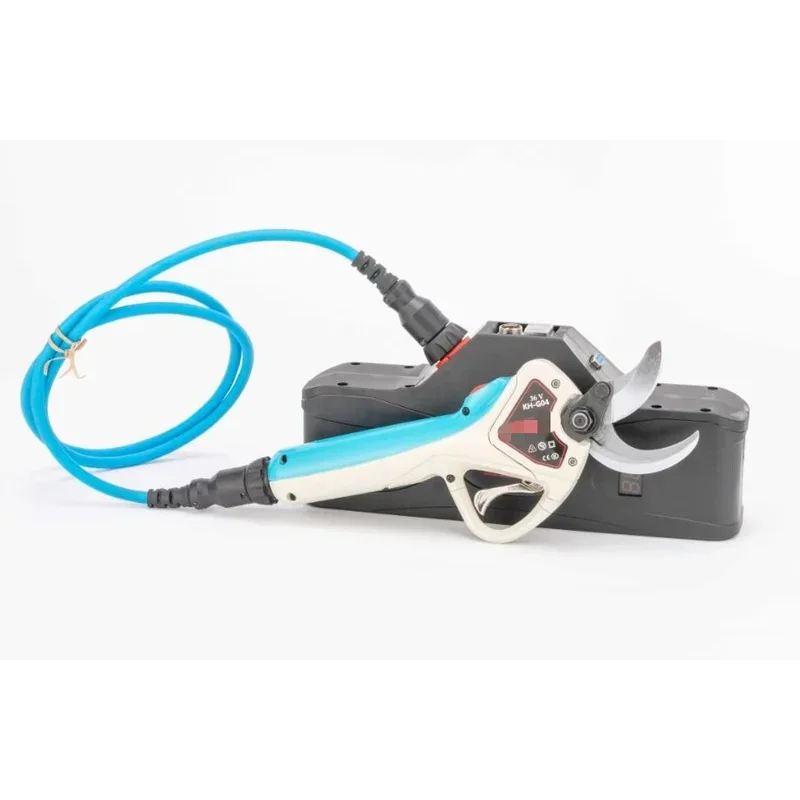 

Telescopic Pole Pruner – High Branch Trimming