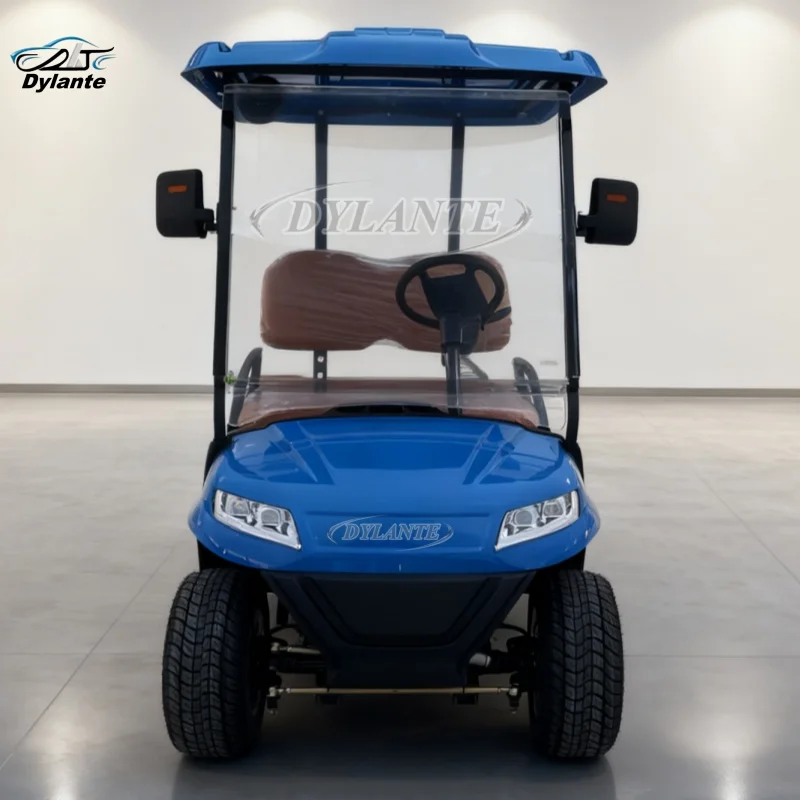 

Роскошная электрическая тележка для гольфа с литиевой батареей 60 В, дорожная совместима, подходящая для охоты и внедорожных клюшек для взрослых
