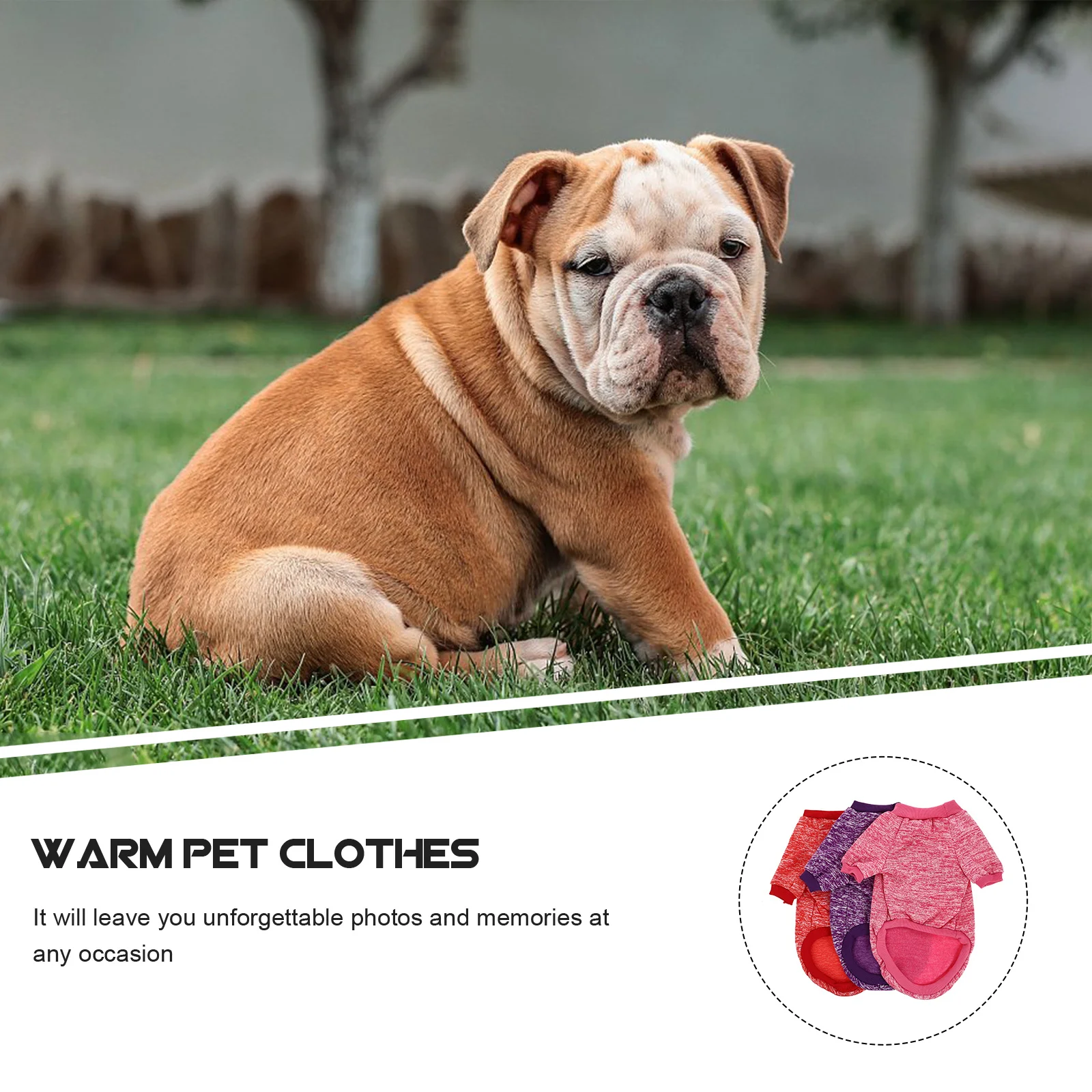 

3Pcs Pet Clothing Warm Cotton Dog Coat Breathable Comfortable Lightweight Dog Apparel Winter Outfit Adorable Puppy Costume