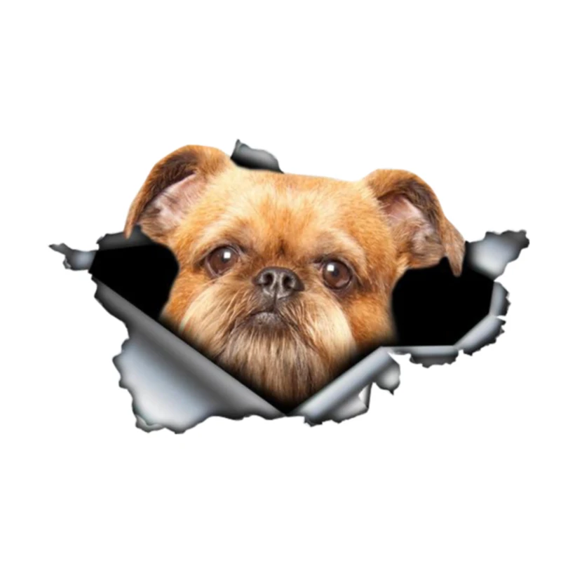 

Z161#13cm/17cm Car Sticker Brussels Griffon Dog 3D Pet Car Accessories Pegatinas Para Coche DIY Car Styling