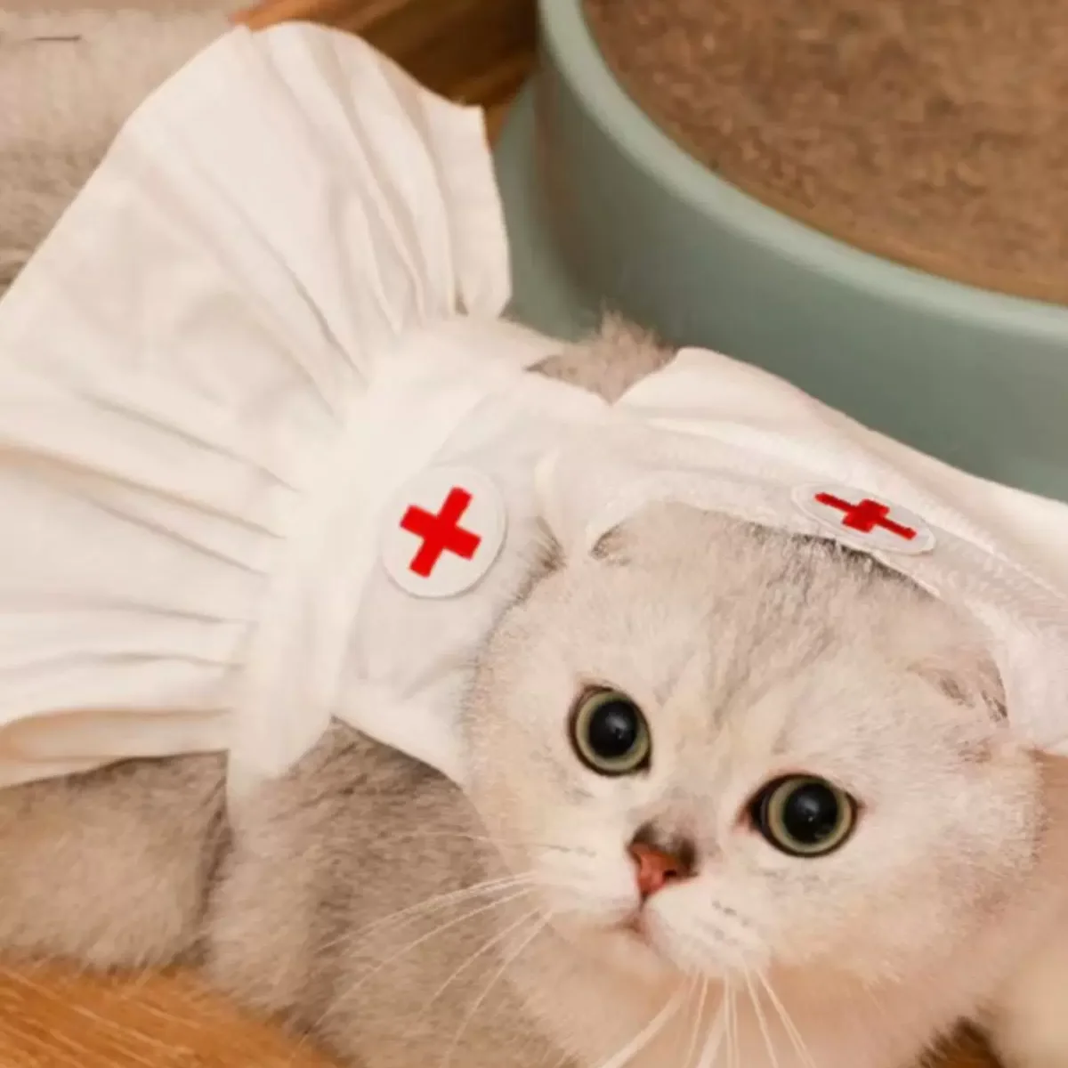 Cute Halloween Pet Costume Cosplay Nurse Puppy Cat Kitten Puppy Dress Kawaii Pet Costume Cat Accessories Halloween Gift