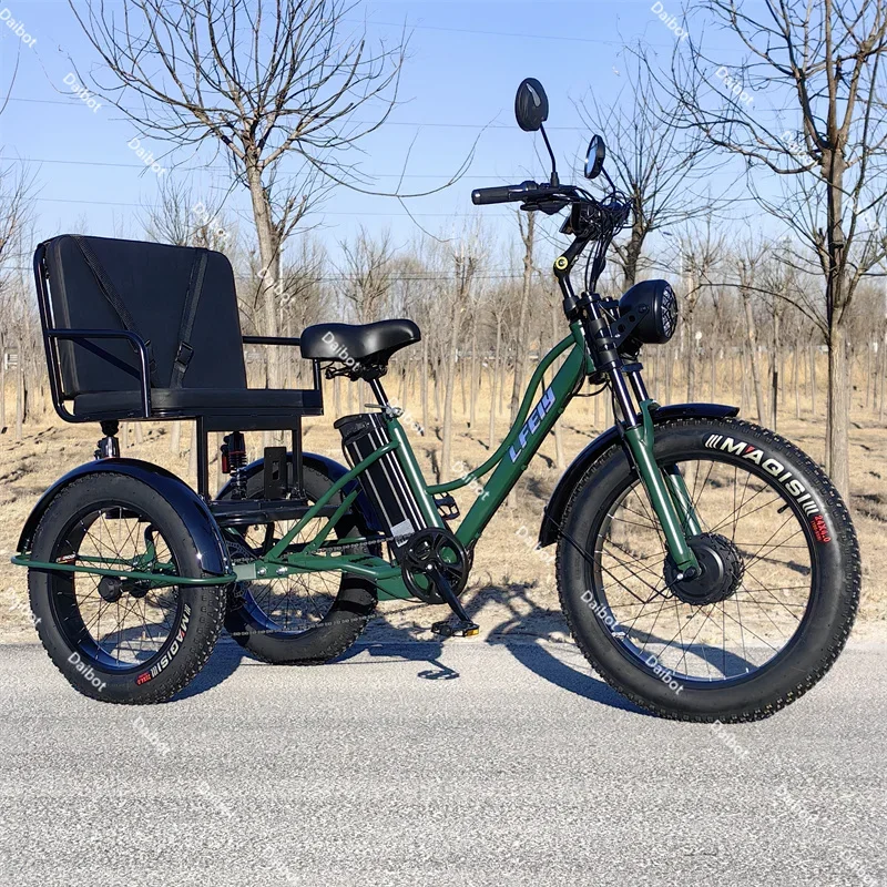 750W 48V Electric Bicycle with Removable Battery, Inflatable Electric, Adult, Three Wheeler, Two People with Passengers