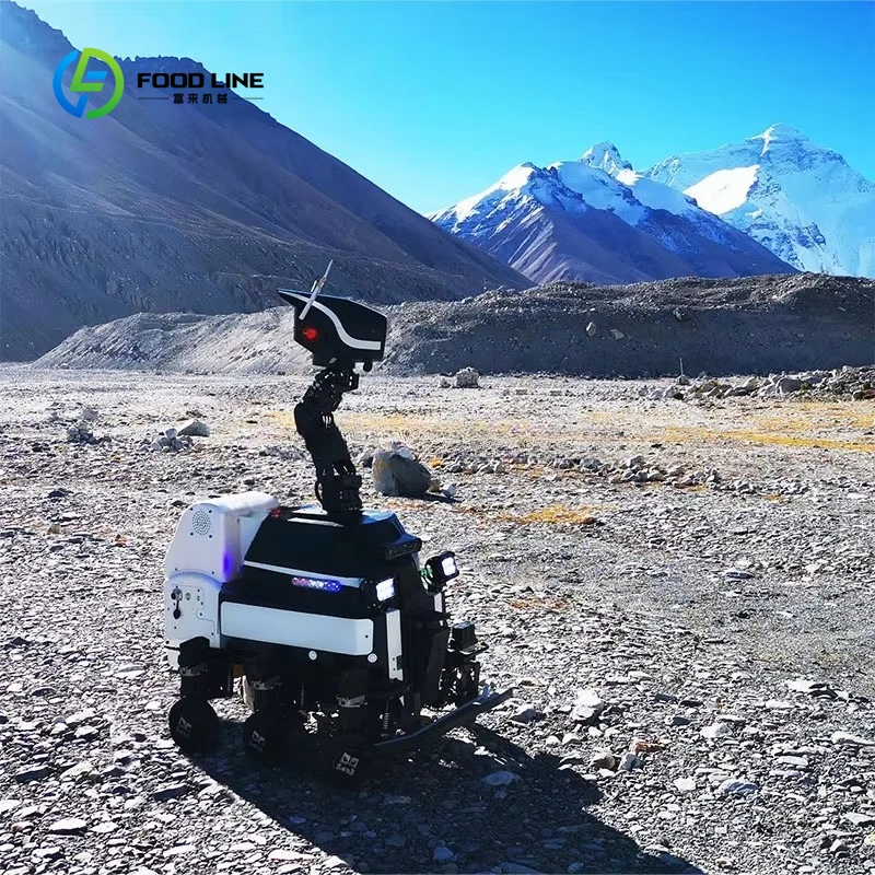 Customized Temperature New Design AI Path Planning Autonomous Charging Security Lidar Navigation  Patrol Robot