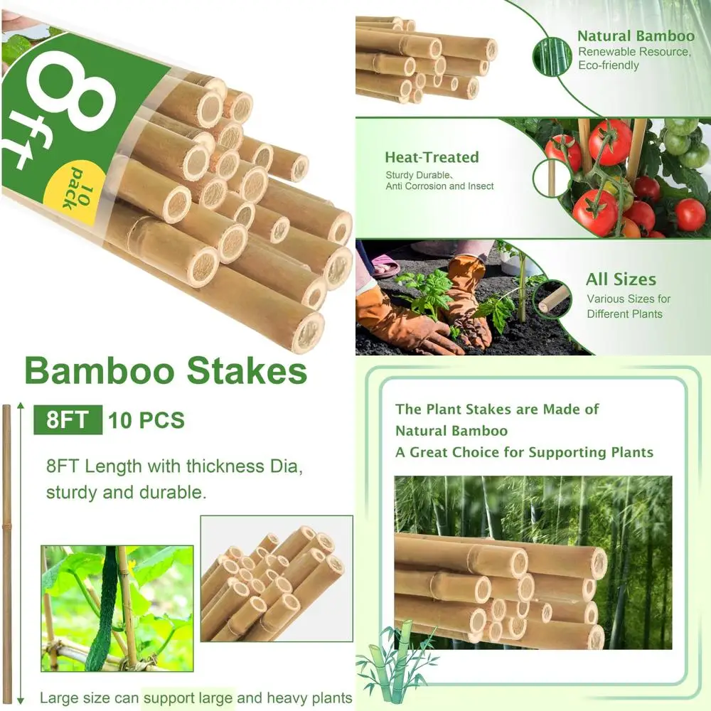 

Natural 8-Foot Bamboo Garden Stakes - Heavy Duty 1-Inch Thick, 10-Pack for Tomatoes, Beans, Flowers, and Plant Support