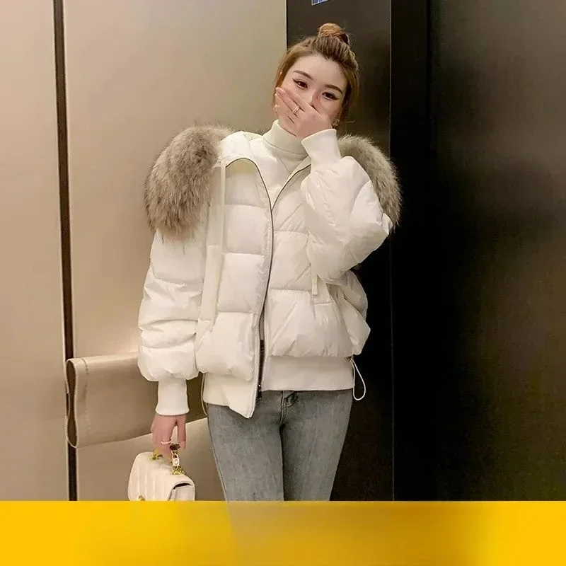 Grande guaxinim gola de pele real para baixo jaqueta feminina curta nova roupas de inverno pequena moda estrangeira pato branco para baixo jaqueta