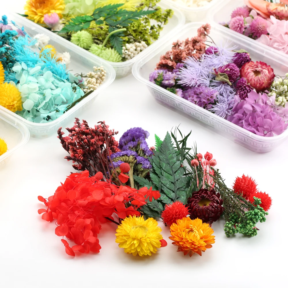 DIY Real Natural Dried Flowers Artificial Plant for Candles Mold Epoxy Resin Aromatherapy Decoration Handmade Crafts Accessories