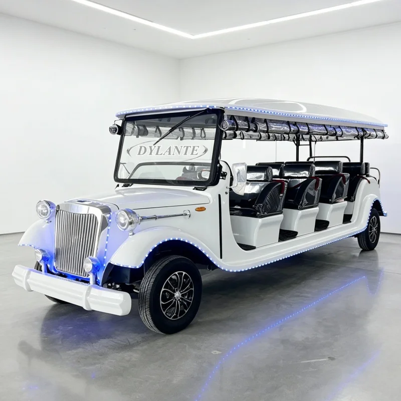 8 Seater 11 Seater Tour Bus Electric Sightseeing Vintage Car Practical Electric Sightseeing Golf Cart for Sale