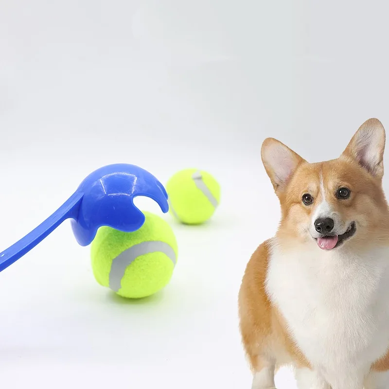 Thumbnail 2 - #32 Best Dog Balls to Buy In 2026