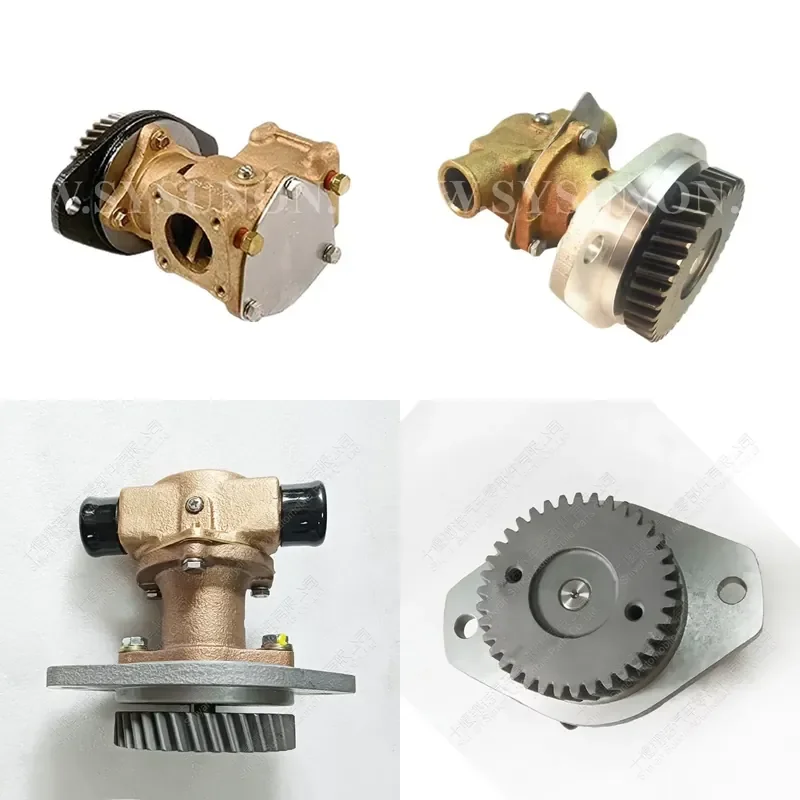 Engine Parts 6B5.9 Sea Water Pump Assembly 3912019 3907458 for Marine