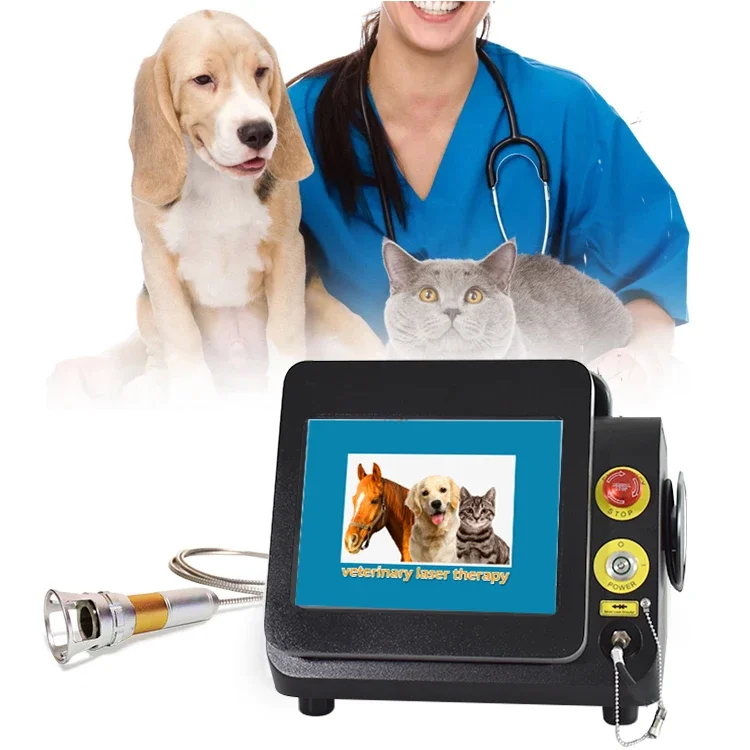 980nm Class IV therapy physiotherapy veterinary las er therapy equipment for dog animals and vet clinic