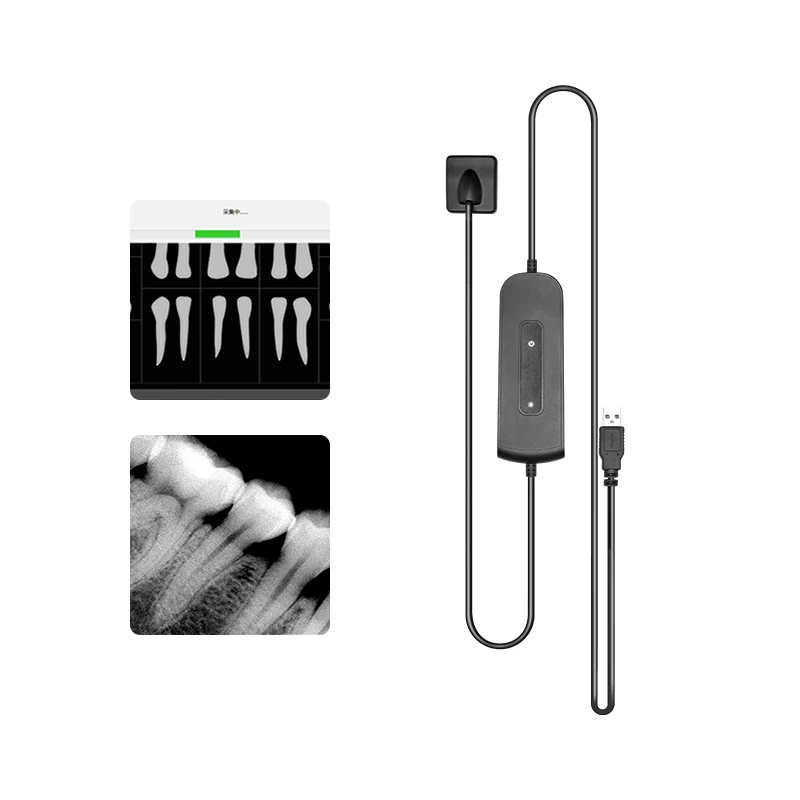 VVDental USB Dental Digital X-Ray Sensor RVG Intraoral Imaging Sensor with Positioning Holder HD Oral Radiography Sensor