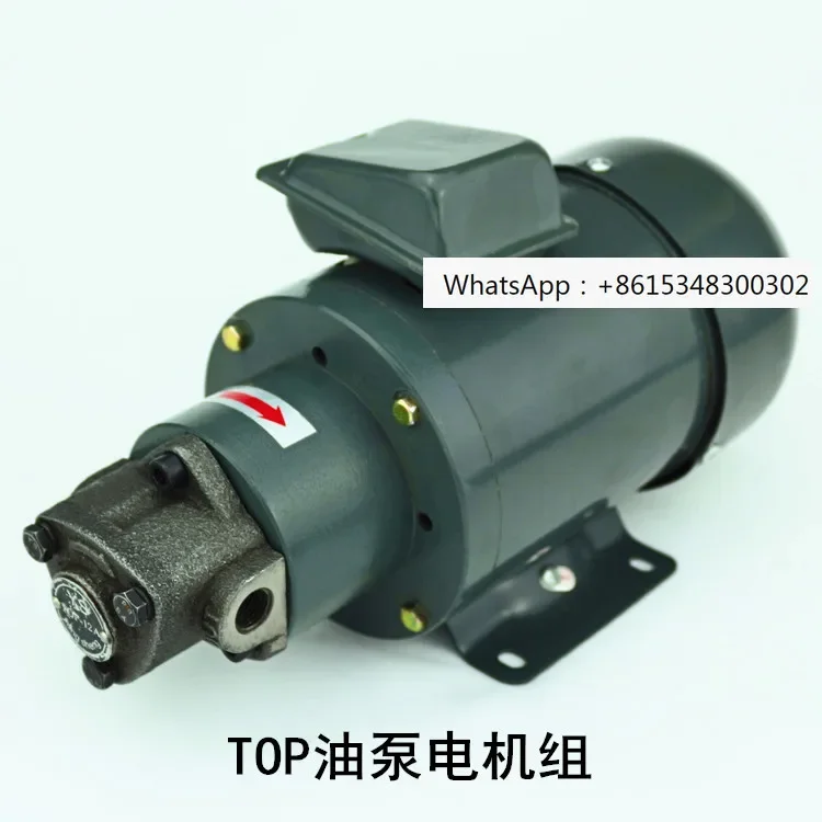 0.19KW1/4HP220V/380V motor pump combination triangular cycloidal pump special motor oil pump motor